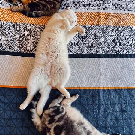 Historic Town Luxe And Epic View 4*