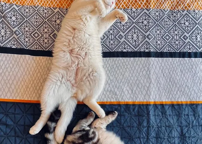 Historic Town Luxe And Epic View 4*